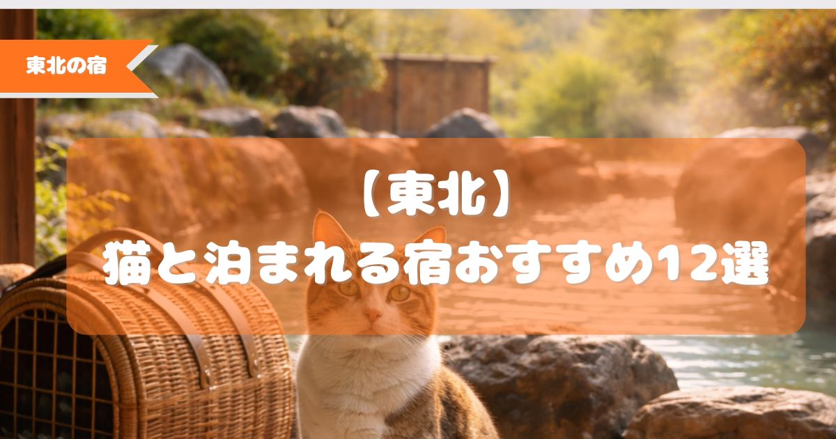 東北　猫と泊まれる宿