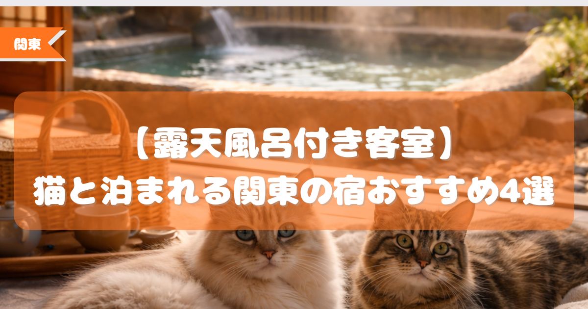 猫と泊まれる 宿 露天風呂付き客室 関東