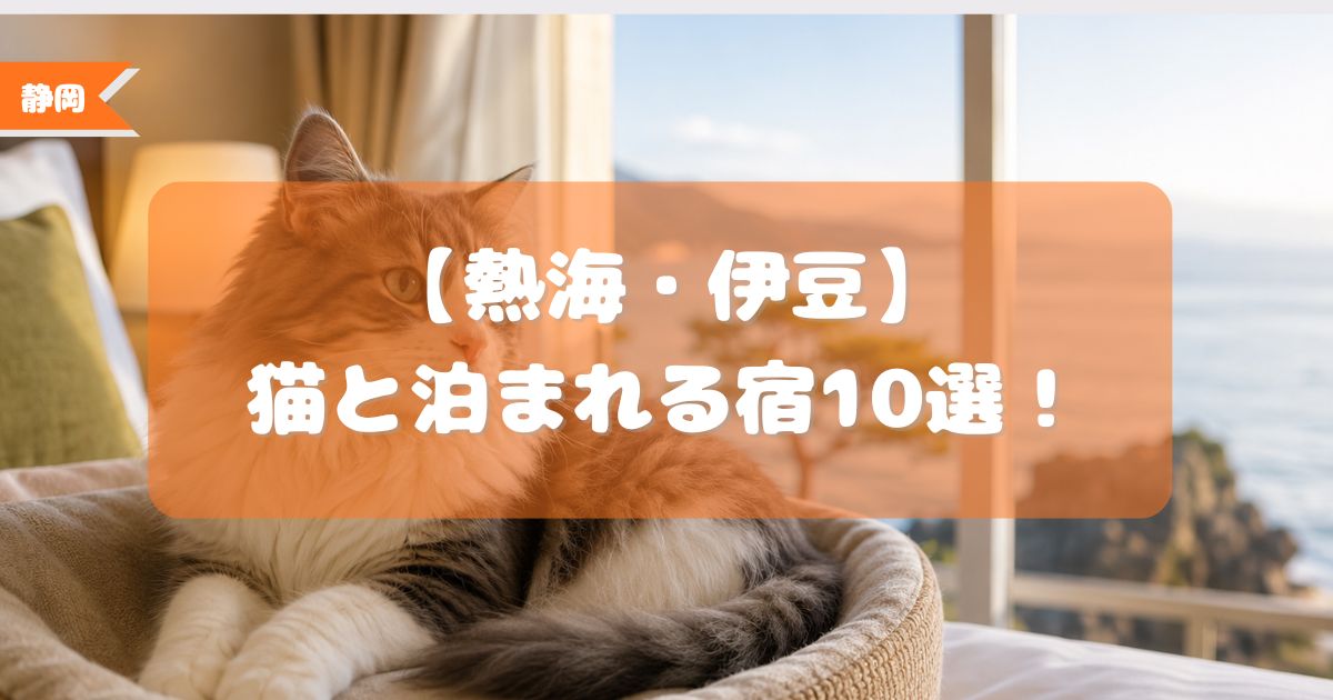 熱海,伊豆,猫と泊まれる宿
