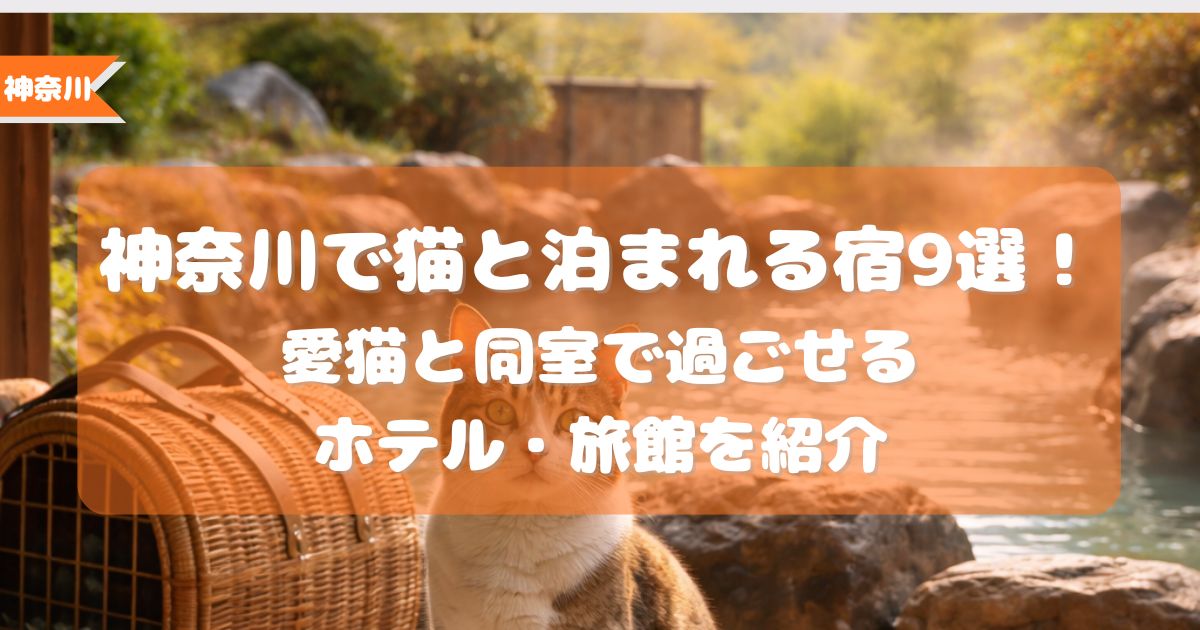 神奈川,猫と泊まれる宿