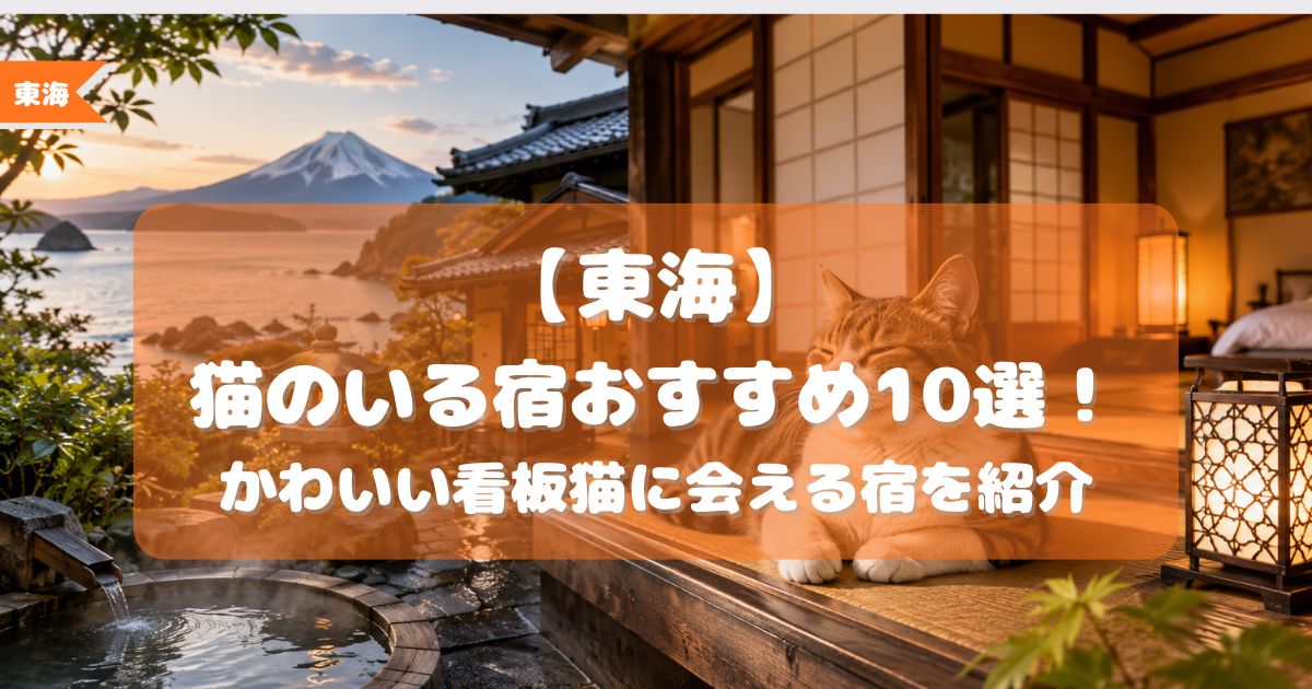 東海,猫がいる宿